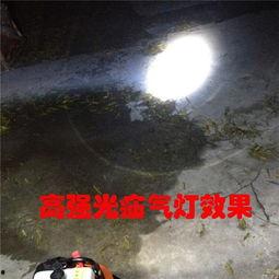 捕鸟灯视频